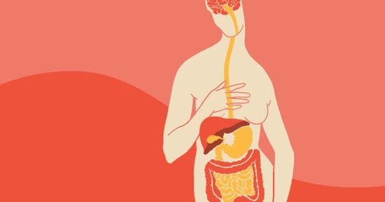 Gut Health and Anxiety